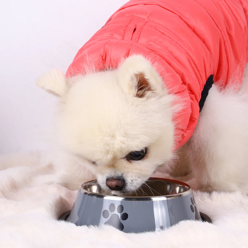 Tigela de Aço Inoxidável para Pets 1PC, Anti-Queda, Multi-Tamanho, para Gatos e Cachorros